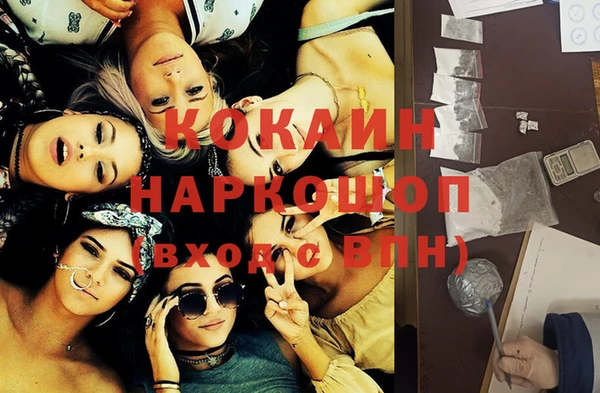 сатива Белокуриха