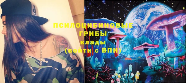 сатива Белокуриха