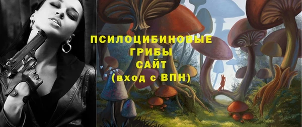 сатива Белокуриха