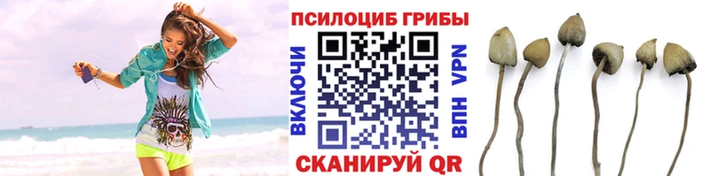 Галлюциногенные грибы Cubensis Очёр