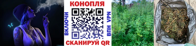 Каннабис OG Kush  наркота  мега зеркало  Очёр 